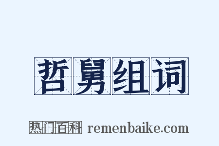 哲舅组词是什么意思的图片
